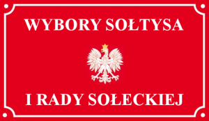 Grafika - wybory sołtysa